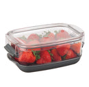 1.2Qt Berry ProKeeper Clear Storage Container