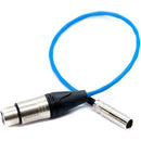 Kondor Blue Mini-XLR Male to XLR Female Audio Cable for Canon C70 & BMPCC 6K/4K (Blue, 16")