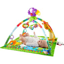Baby Playmat Deluxe Gym - 0+ Months