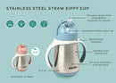 Stainless Steel Straw Sippy Cup - Terracotta