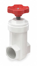 NDS Gate Valve, PVC, FNPT Connection Type, Pipe Size - Valves 1 1/4 in - GVP-1250-T