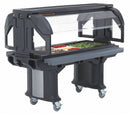 Cambro Food Bar, 68 3/4 x 42 1/2 x 62 1/2 - EAVBR5110
