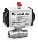 Dynaquip 1 1/2 in Spring Return Pneumatic Actuated Ball Valve, 2-Piece - P2S27AJSR06310A
