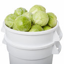 Rubbermaid Vegetable Crisper Container, 20 gal. Load Capacity, Plastic, White - FG262400WHT