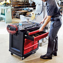 Rubbermaid Mobile Cabinet Workbench, Structural Foam Plastic, 19 13/16 in Depth, 33 1/2 in Height, 32 5/8 in Wi - FG773488BLA