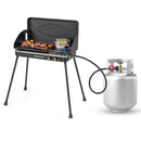 2-in-1 Gas Camping Grill and Stove With Detachable Legs-Black