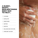 The Nudist Exfoliating Body Bar