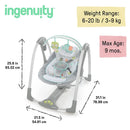 Swing 'N Go Portable Swing - Hugs & Hoots