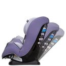 All-in-One Convertible Car Seat - Dewberry Rain