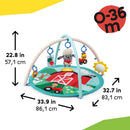 Happy Harvest Touch & Feel Activity Gym