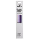 Quencher Tumbler Replacement Straws - Purple