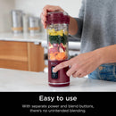Portable Blender - Cranberry Red