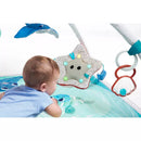 Treasure the Ocean 2-in-1 Musical Mobile Baby Gymini