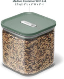 Medium Glass Airtight Container - Sage