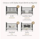 Darcy 4-in-1 Metal Convertible Crib - Charcoal