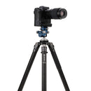 Benro GD36PT Geared Drive Three-Way Head