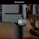 Master Lock 1-1/16 in. H X 1-3/4 in. W Laminated Steel Warded Locking Warded Padlock, Pack of 4