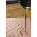 GRK Fasteners No. 8 in. X 2 in. L Star Trim Head W-Cut Trim Screws