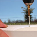 GRK Fasteners No. 8 in. X 2-1/2 in. L Star Trim Head W-Cut Trim Screws