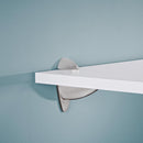 Dolle Ara 4.5 in. H X 1.8 in. W X 4.1 in. D Silver Metal Shelf Clips, Pack of 4