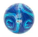 ProCat by Puma Cyclone Size 5 Sports Ball - Blue