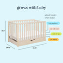 Colby 4-in-1 Convertible Crib with Trundle Drawer - Washed Natural