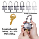 Master Lock 1-1/2 in. H X 7/8 in. W X 2 in. L Steel 4-Pin Cylinder Exterior Padlock, Pack of 6