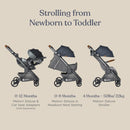 Metro+ Deluxe Compact Baby Stroller - Empire State Green