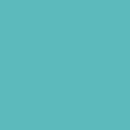 Superior Alpine 53"x12 Yds. Seamless Background Paper (55)