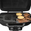 Cast Iron Reversible Griddle for all TravelQ™ 285 Series