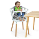 Portable Booster Seat - Grey