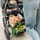 Vista V3 Full-Size Stroller - Callum