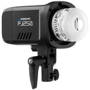 Westcott FJ250 Strobe 1-Light Backpack Kit with FJ-X3 M Universal Wireless Trigger