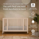 Convertible 9-in-1 Crib with Bassinet & Toddler Bed Kit - Washed Natural