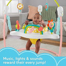 Infant Activity Center - Grows with Child