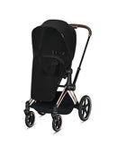 Platinum Series Stroller Insect Net
