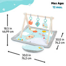 Winnie The Pooh Tummy Time Baby Playmat - Animal Theme