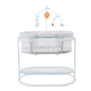 Fisher-Price Baby Bedside Sleeper Soothing Motions Bassinet with Lights Music Vibrations