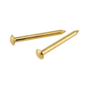 HILLMAN OOK Brass-Plated Gold Hardwall Picture Hanging Nails 20 lb 10 pk, Pack of 12
