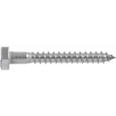 HILLMAN 1/2 in. X 2 in. L Hex Stainless Steel Lag Screw 25 pk
