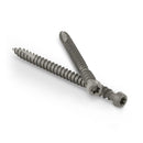 Starborn Pro Plug No. 10 X 2-3/4 in. L Star Star Head Deck Screws 375 pk, Pack of 4