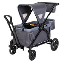 Expedition 2-in-1 Stroller Wagon Plus - Ultra Grey