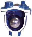 Val-Matic 175 psi Clean Water Air Release Valve, 1/2 in Inlet Size, 1/2 in Outlet Size - 15A