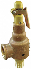 Kunkle Bronze Safety Relief Valve, MNPT Inlet Type, FNPT Outlet Type - 6010EDV01-KM0050