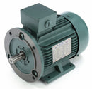 Leeson 5 1/2 HP Premium Efficiency Metric Motor,3-Phase,3510 Nameplate RPM,230/460 Voltage,Frame DF112MD - 193339.6