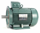 Leeson 10 HP Premium Efficiency Metric Motor,3-Phase,1765 Nameplate RPM,230/460 Voltage,Frame DF132MD - 193346.6