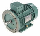 Leeson 10 HP Premium Efficiency Metric Motor,3-Phase,1765 Nameplate RPM,230/460 Voltage,Frame DF132MD - 193346.6