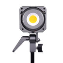 Amaran 200x Bi-Color LED Light