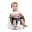 Baby Base 2-in-1 Booster Seat - Slate