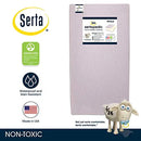 Serta Sertapedic Petals Dual Sided Premium Recycled Fiber Core Crib and Toddler Mattress - Pink